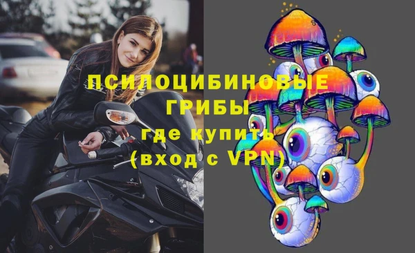 соль ск Касимов